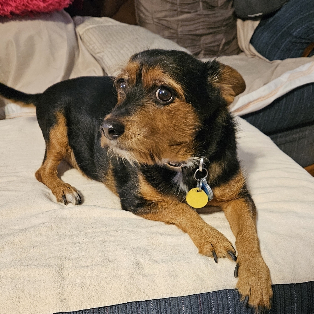 Meet your Posher, Wendy see our pictures - Picture 10 of 16